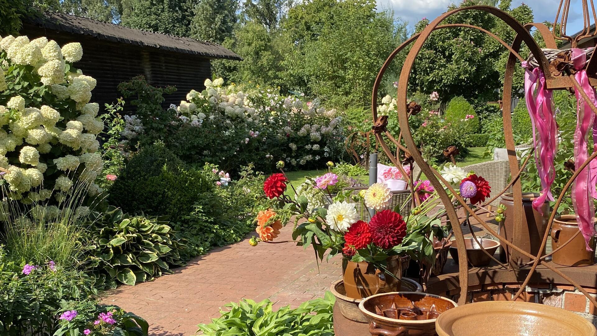 Üppige, weiß blühende Hortensien prägen das Gartenbild, wirkungsvoll von Blühendem begleitet, dessen Farbenpracht sich effektvoll vom Grün der Pflanzen und der Funkiensammlung abhebt.