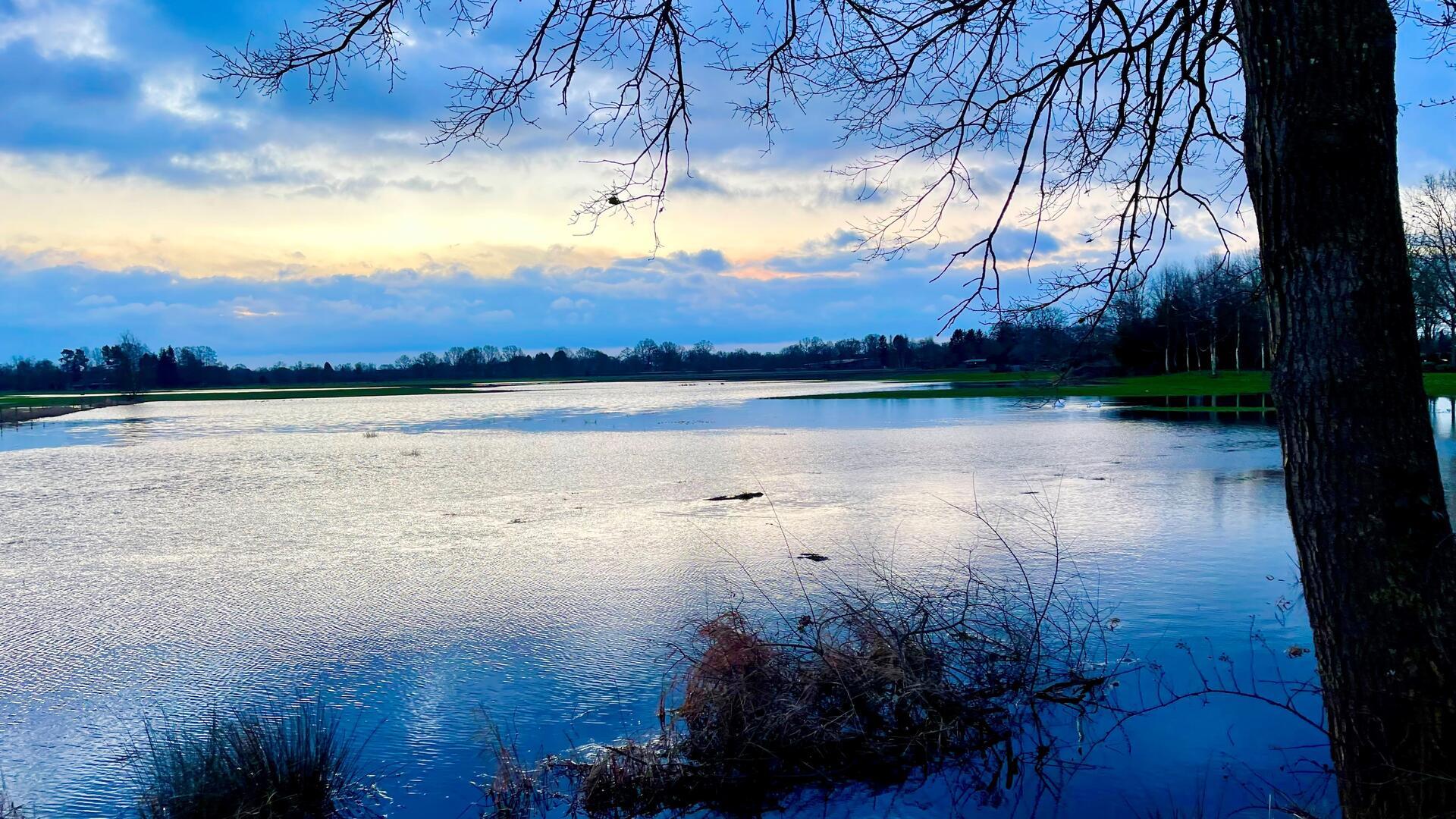 Unweit der Kreuzkuhle bei Karlshöfenermoor zeigte sich der Januar von seiner nassesten Seite. Viele Weiden im Moor stehen unter Wasser.