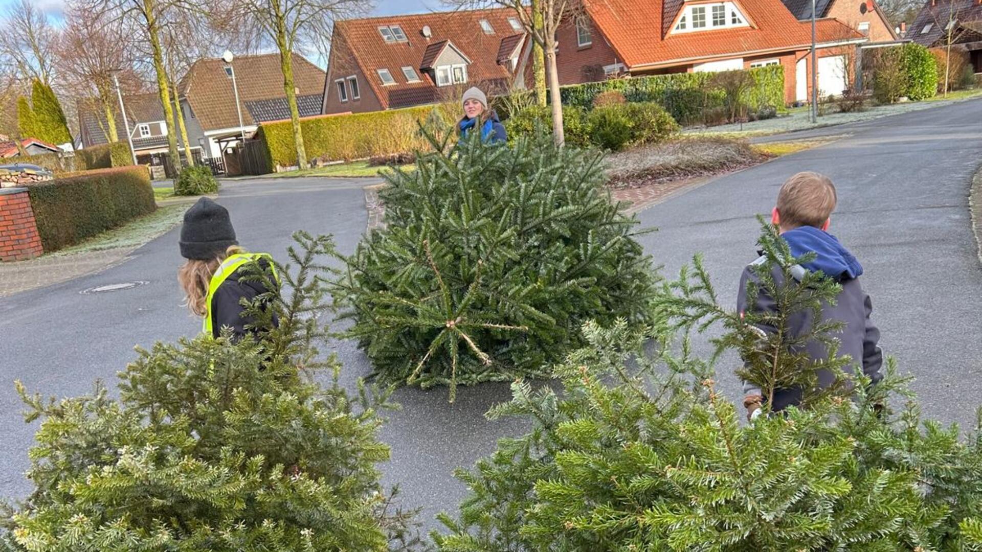 Viele Helfer waren unterwegs, um in den Ortschaften die ausgedienten Weihnachtsbäume einzusammeln. Dafür gab es viele Spenden.