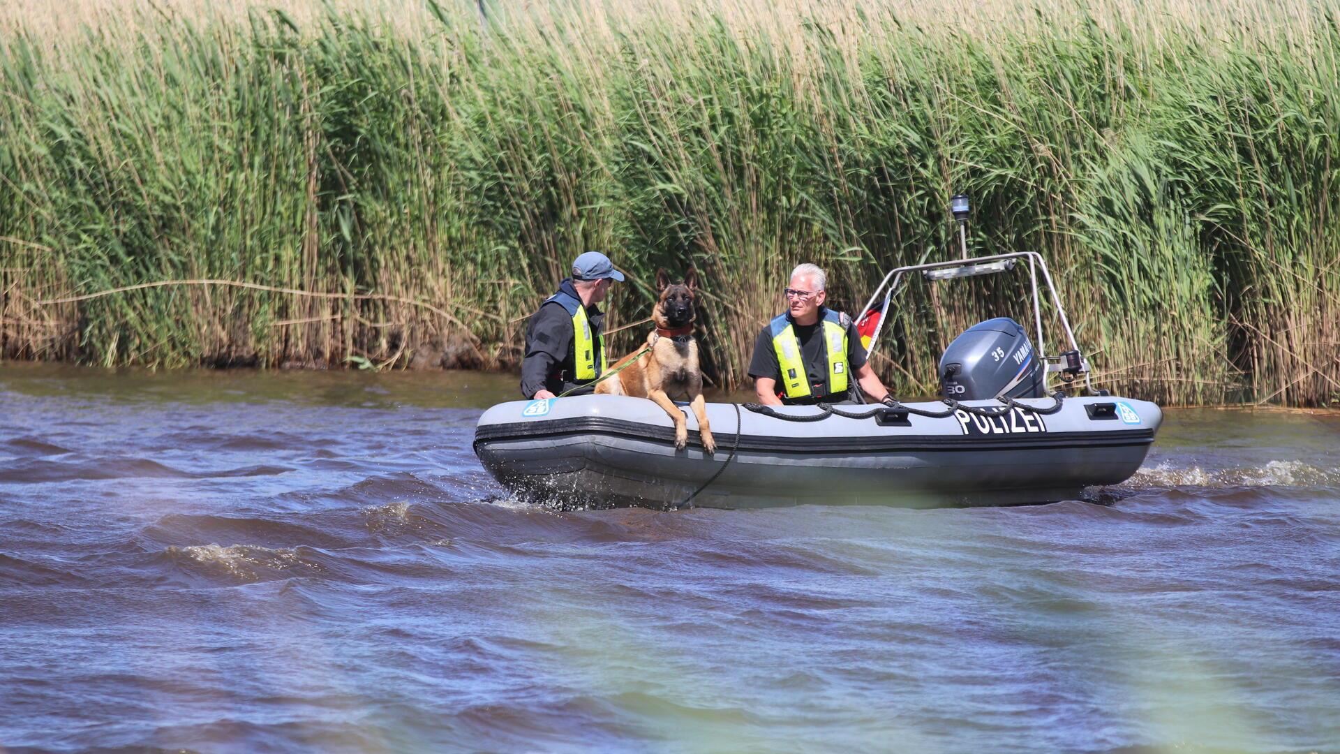 Vier speziell ausgebildete Spürhunde und ihre Hundeführer waren am Donnerstag abwechselnd auf der Oste im Einsatz.