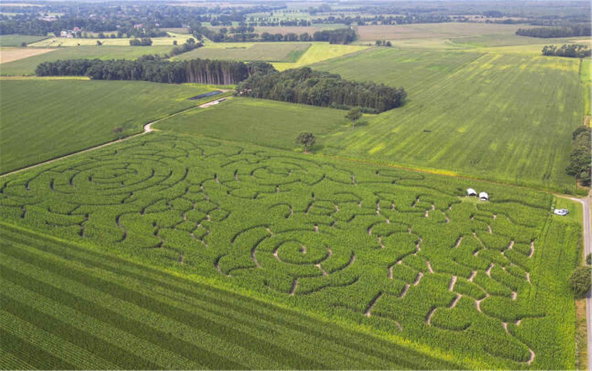 Vom kommenden Sonntag, 11. August, bis voraussichtlich Sonntag, 6. Oktober, ist das Maislabyrinth in Rockstedt jeweils an den Wochenenden und nach Vereinbarung geöffnet.