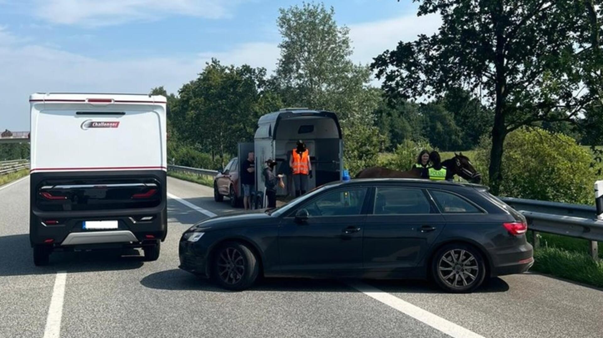 Während der Verladung des Pferdes musste die Autobahn kurzzeitig gesperrt werden. Es kam zu Behinderungen.