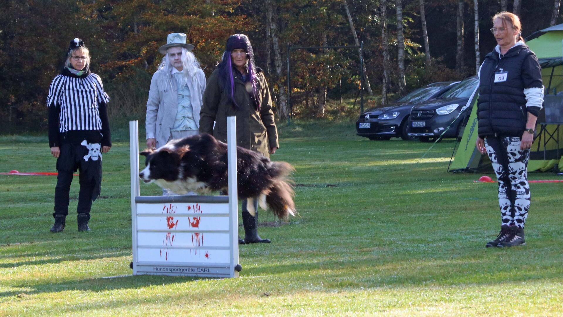 Während die Führerin (rechts) von ihrer festgelegten Position aus die Kommandos gibt, beurteilt das Richterteam, wie der Hund sich macht.