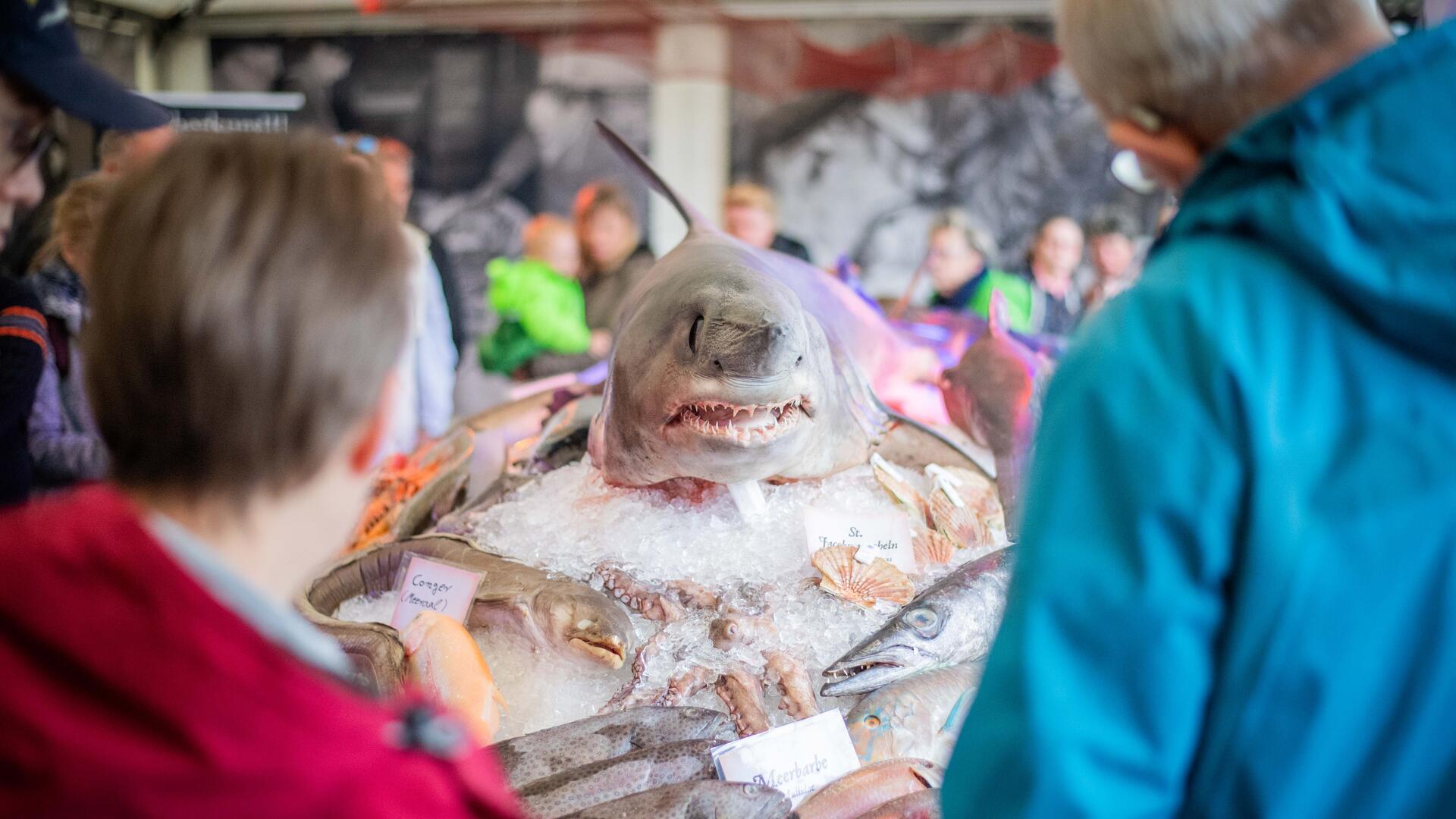 Wie in jedem Jahr ist das Fischbett ein echter Hingucker und Publikumsmagnet.