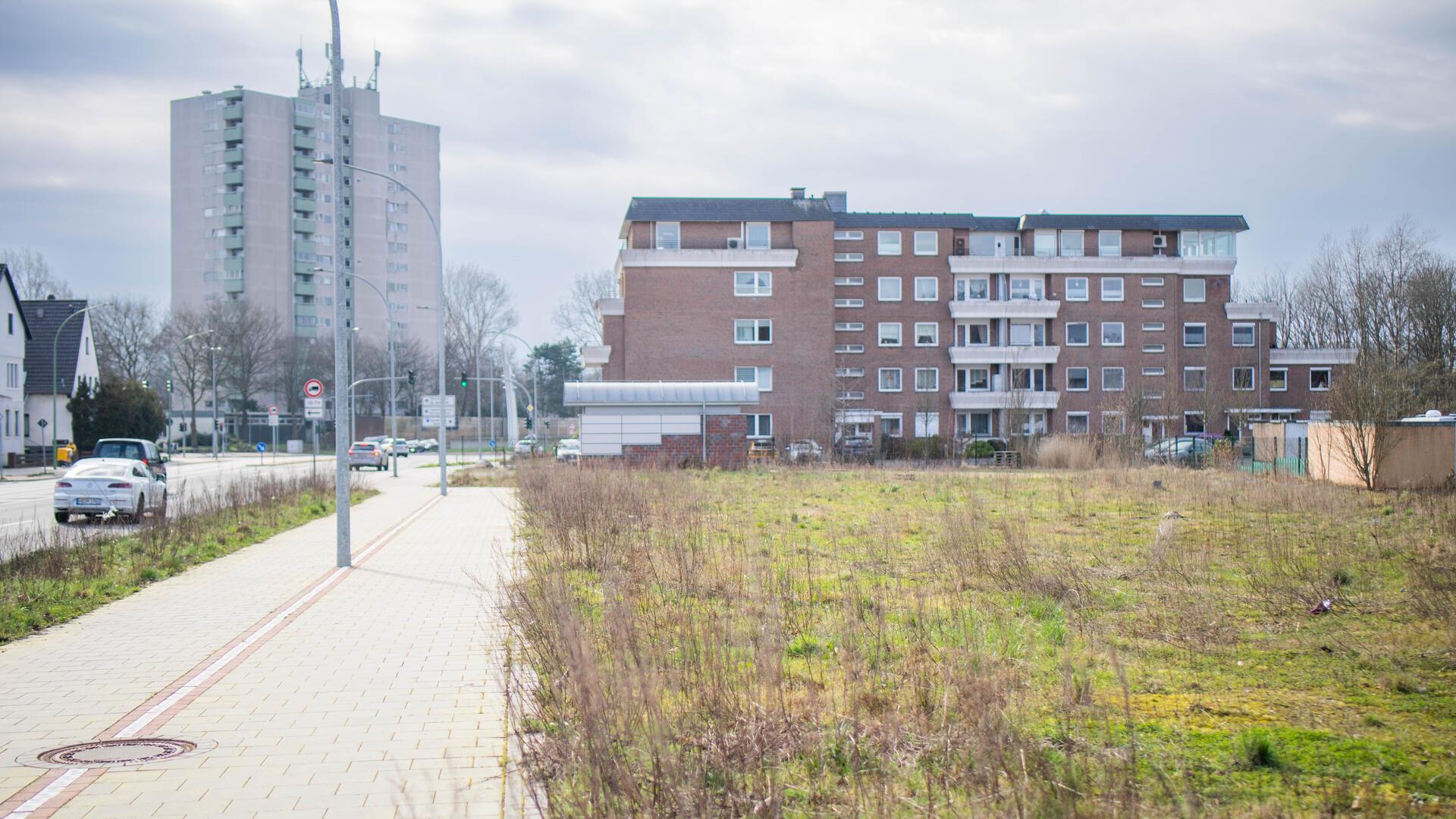 Wilde Fläche statt bepflanzter Ausgleich für den Tunnelbau: Grundstück an der Cherbourger Straße