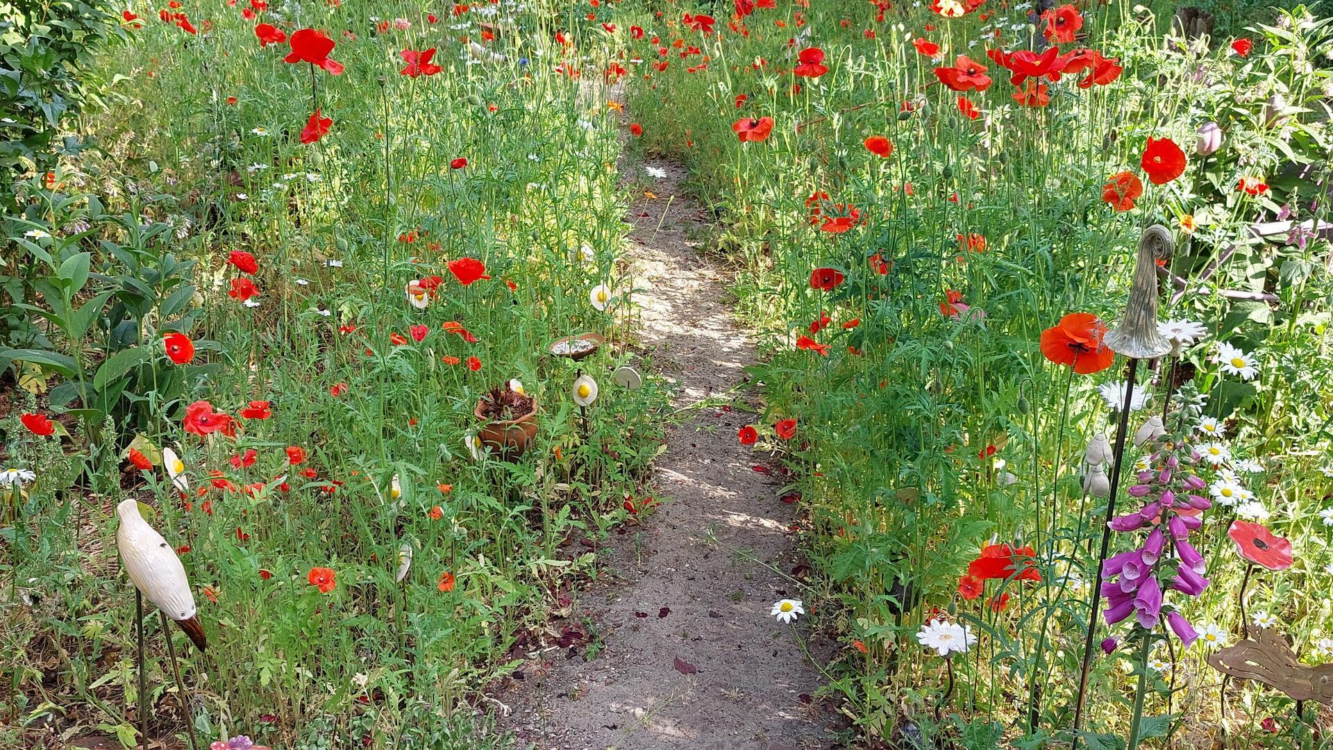 Wildromantisch mit vielen bunten Blumen präsentiert sich der Garten von Irmgard Fritze in Rockstedt.