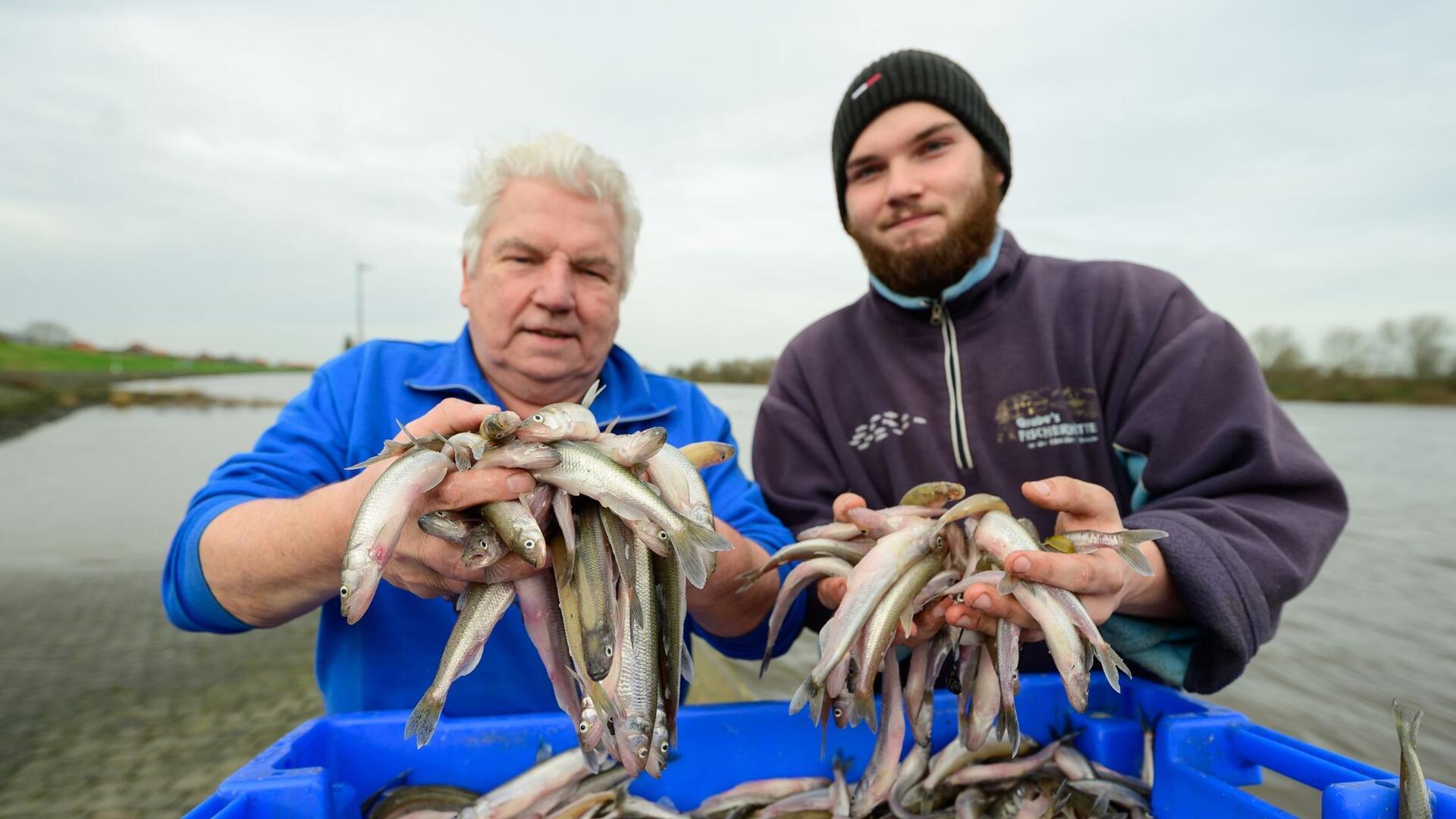 Wilhelm (l) und Jonas Grube stehen mit frisch gefangenen Stint an der Elbe. Stinte sind im Frühjahr im Norden ein Klassiker - die Elbe gibt aber nicht mehr so viel her wie früher.