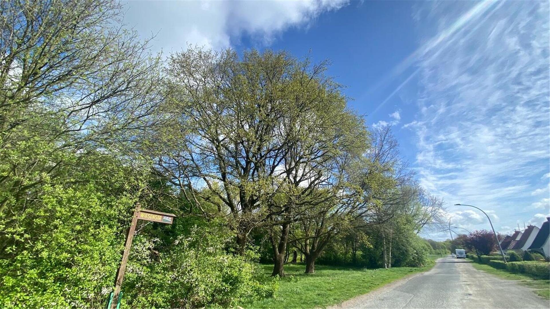 Wo jetzt zwischen dem Bremerhavener Autobahn-Zubringer Grimsbystraße und der alten Bürgerpark-Siedlung ein  Wäldchen mit auch alten Bäumen prangt, plant die Stadt 18 Neubaugrundstücke zu verkaufen und zu erschließen. Die Siedler befürchten durch Bautätigkeit Schäden an Straßen und Häusern gegenüber.  