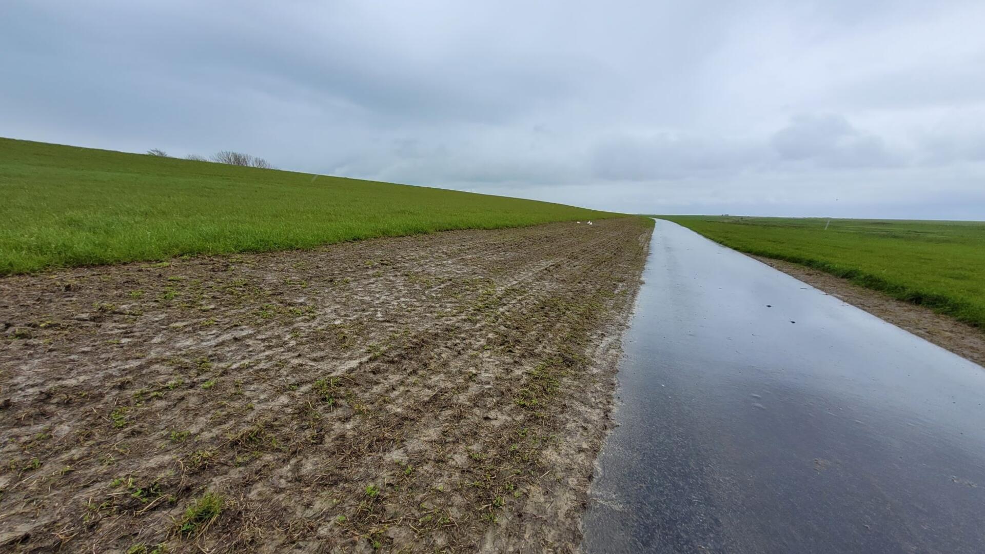 Deichschau April 2024 Wurster Nordseeküste Landkreis Cuxhaven