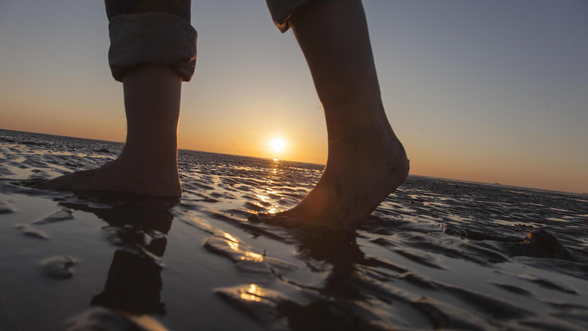 Wattwanderung beim Sonnenuntergang an der Wurster Nordseeküste