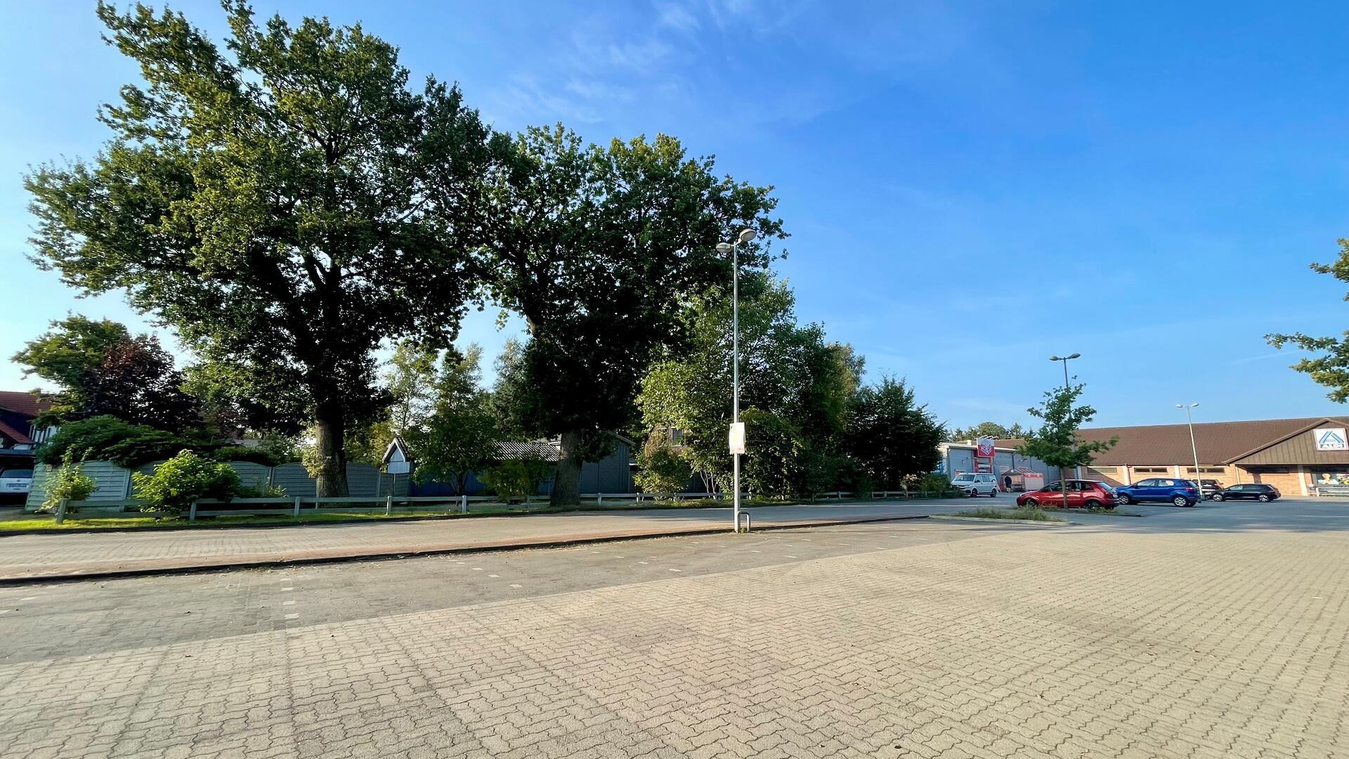 Zwei circa 100 Jahre alte Eichen sollen weichen für den Neubau von Aldi, doch sind Neuanpflanzungen als Ausgleichsmaßnahme geplant, wie in der jüngsten Sitzung des Gnarrenburger Ausschusses für Klimaschutz, Umwelt und Bauleitplanung deutlich wurde.